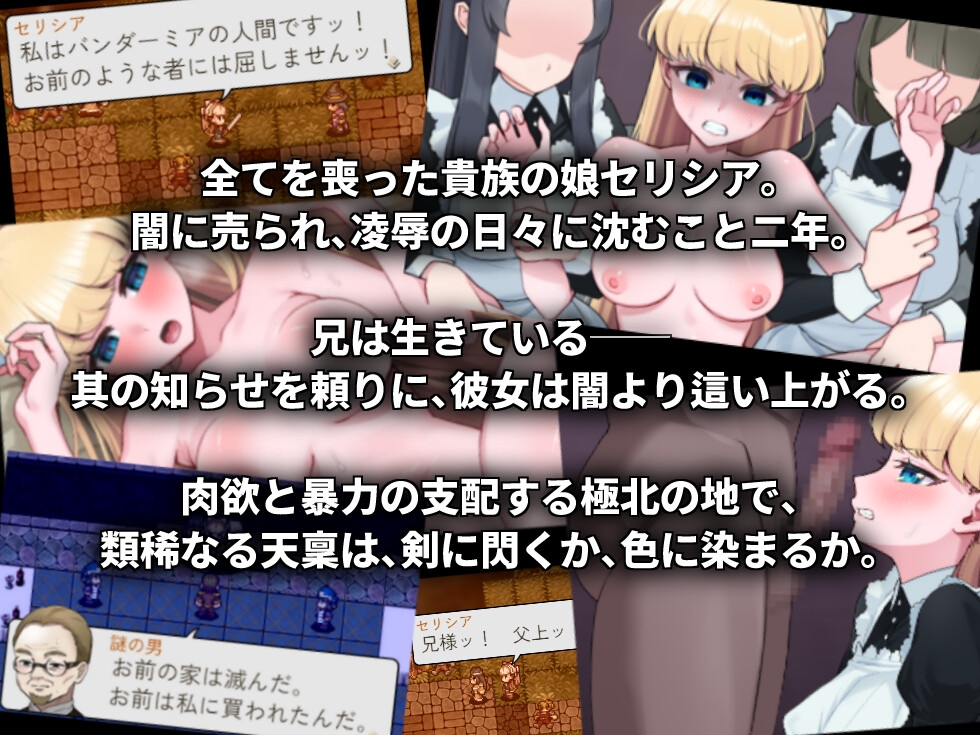 新作[日式RPG/卖春] 没落剑姬塞莉西亚 没落剣姫セリシア 体验版 AI汉化版 [890M]
